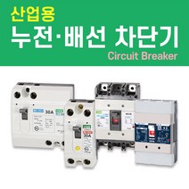나노전기 (산업용) (사은품) 반드시 설치! 고감도 누전 배선 차단기 두꺼비집 주택 아파트 다세대, 산업용 배선 차단기 (NFB) / 25. NBH-204s/ 125A