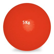 DWR 포환 연습용 실내용 5kg 훈련용 투포환