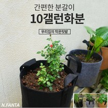 부직포 화분 식물 감자 키우기 10갤런 40x30 블루베리 고구마 감자 모종 키우기 베란다 텃밭 흙 담기 화분, 2화분10갤런-그레이