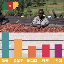 캅카와 [럭셔리]원두 카메룬 블루마운틴 내추럴 500g, 더치커피용
