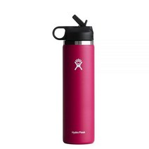 Hydro Flask 와이드 마우스 스트로 물병 뚜껑 110684, Straw Lid 32 Oz, Snapper