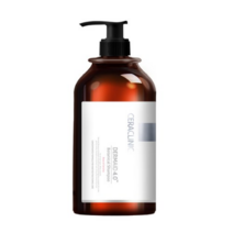 세라클리닉 더마이드 4.0 보태니컬 샴푸 와일드 로즈향, 1000ml, 2개