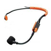 SHURE Condenser Microphone Headset Fitness SM31FH-TQG, 상품명참조