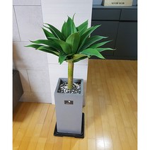 흰내 아가베 아테누아타 용설란 조화 인테리어 화분 SET 서울 경기지역만 배송가능