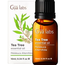 Gya Labs Australia 스킨 케어 헤어 케어 및 클리닝용 티 트리 에센셜 오일 - 10ml
