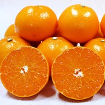 한라봉 선물세트 제주한라봉 귤 한라봉 3kg, 백화점용 천혜향선물세트 3kg