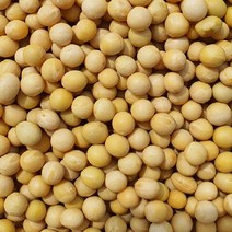 [백운농산] 국내산 백태(메주콩) 500g 1kg