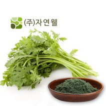 자연웰 천연재료 쑥가루 100g 무배, 1개