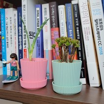 어린이집 새싹심기 미니 빈화분 플분 민트 원형, 상세페이지 참조