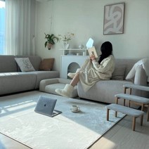 사계절 극세사 단모 가성비 러그 자취방 꿀템