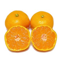 [제주의맛] 맛있는 제철 감귤 산지직송! 품질보장!, 감귤 못난이 5kg, 1개