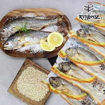 영광 구운보리굴비 10미 30-32cm, 단품
