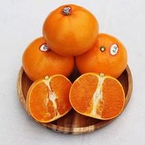 [프레시푸드마켓] 제주도천혜향 제주천혜향 1.5KG 2.5KG 5KG 10KG, 천혜향 5KG