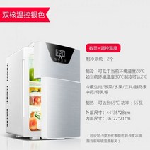 원룸 냉장고 미니 화장품 20L 주방 듀얼 도어 냉동고 전기 가정용 렌탈 Frigobar 사용 냉간 Frigidaire 211905, 03 Dual-core gold