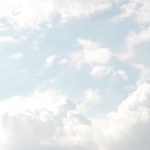 향기에반하다 프래그런스오일 L타입 알데하이드44 향기오일 향료 캔들 디퓨저 석고방향제 비누만들기, 알데하이드44 프래그런스오일 100ml