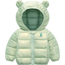 CsgrFagr Toddler Kids Baby Boys 여아 겨울 따뜻한 자켓 아우터 카툰 공룡 곰 이어 코트 후드 패딩 아웃웨어 베이비 보이 12개월, Green, 3-4 Years