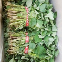 맛있는 농장 꿀고구마 모종 5kg, 5월 31일 도착