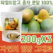 미국산 아프리카 덤불 와일드 망고 종자 씨앗 분말 100% WILD MANGO 물 요거트 요구르트 요그루트 베이킹 재료 타 뿌려 먹는 맛있는 벌크 형 가루 파우더 파는곳 추천, 3