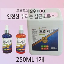 순수HOCL 안전한 무색무취 다목적 살균 소독수, 1개, 250ml