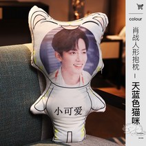 허그 쿠션 다르다 형 DIY 맟춤제작 사진보내오면 가능 인쇄 주문제작 고양이 애완동물 펫 베개 팬시 2712781897