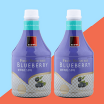 베오베 블루베리 스무디 1.8kg 2개세트 제품, 2개