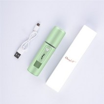 미니 나노 페이스 스티머 홈케어 피부관리 USB 충전식 페이셜 스프레이 모이스처 라이저, 라이트 그린