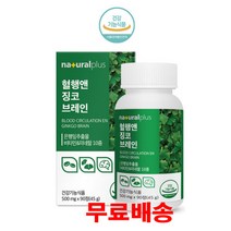 플러스 혈행앤징코브레인 은행잎추출 90정