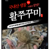 서해 제철 활쭈꾸미 알배기 쭈꾸미 생물 쭈꾸미1kg (10~15미), 1kg(10~15미)