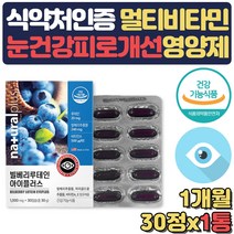 마리골드꽃추출물 비타민 빌베리루테인 빌베리분말