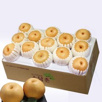 소담촌 2023 수확 햇배(가정용/흠과), 1박스, 5kg(11~14과)/소과