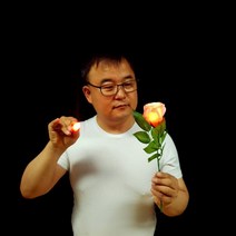 생활용품 최저가JL수업용불빛장미(JL LIGHT ROSE)(핑크) 포함*OEM직제조 *딜라이트1개 장미마술*케이스포장, 상세페이지 참조