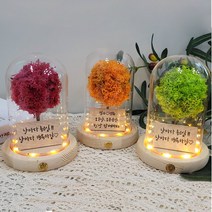메세지 각인 스칸디아모스 무드등 만들기 DIY 키트, 오렌지_폰트2