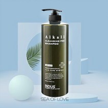 인더스 알칼리 클렌징 프레 샴푸 1000ml 미용실전용 대용량 알칼리성 지성 두피 케어 지루성두피 떡진머리 정수리 냄새 두피청정 두피뾰루지 기름기제거 샴푸, 1개