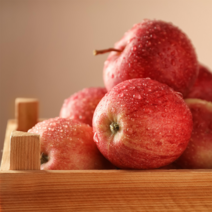 내고향농수산 청송 사과 부사 꿀사과 세척사과 명품 선물세트 사과직거래 가정용 흠집사과 못난이사과 흠과 5kg 10kg, 가정용 흠과 쥬스용 8kg 25~30과 1박스