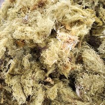 우뭇가사리 1kg 한천원료 묵 우무 식이섬유소가 풍부해요 쪽빛누리, 본품
