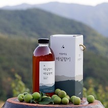 임산부 선물세트 매실액 매실액기스 장인 수제 매실청 원액 엑기스 1L