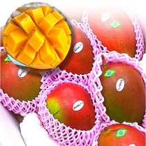[프레시러시] 항공직송 애플망고 2kg 특품 4과 내외 열대과일, 애플망고 4kg(8과 내외), 1개