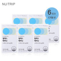 뉴트립 릴렉스 테아닌 6박스 6개월 L 스트레스 긴장 완화 수면 극복 해소 영양제, 뉴트립 전용 쇼핑백(1EA)