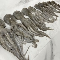 [태안/신진도] 활 주꾸미 1kg(10-15미내외)