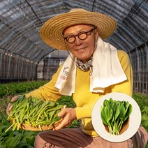 [첫물수확/예약판매] 생명이나물 명의나물 산마늘 잎명이 대명이 1kg/2kg, 잎명이 2kg, 1개