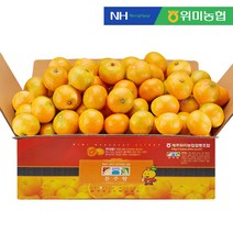 [위미농협] 믿고먹는 제주 노지 감귤, 감귤 4.5kg (대과)