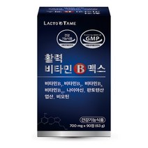 고농축 비오틴 영양제 비타민 b1 b2 b6 b12 엽산 나이아신 판토텐산 고함량 b군, 1박스, 700mg/90정/