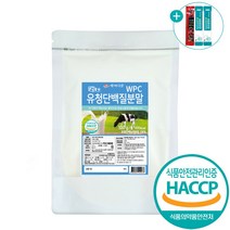 대용량 유청단백질 프로틴 파우더 보충제, 500g, 1팩