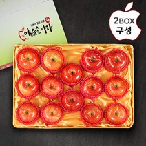 [산내들]명품 밀양얼음골 기스사과 10kg(30내), 상세 설명 참조