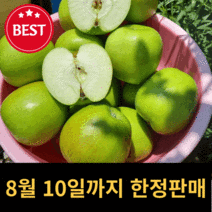 청송 아오리 사과 2.5kg 4.5kg, 4.5kg 18~23과 내외