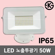 레드 LED 노출 투광기 50W 실외 방수 건물 간판 옥상 투광등 수목등 경관조명 야외조명 IP65 사각투광기 LED투광기 LED투광등 노출투광기 방수등 실외등 간판조명 직부등, 주광색