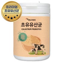 부모님 점심대용 근육량늘리기 농축유청단백 초유 1달 쉐이크 가루 분말 파우더 엠비피 유단백추출물 여자 여성 갱년기 헬스 운동후 식물성 50대 60대 70대 남성 남자