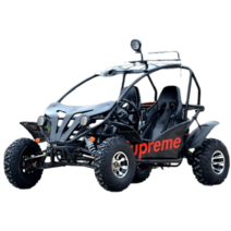 사륜바이크 가솔린 산악 사륜 오프로드 라이딩 동호회, 200cc 카트