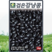 다농 검은강낭콩씨앗 30g, 단품