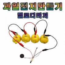 과일전지 만들기(멜로디버저)